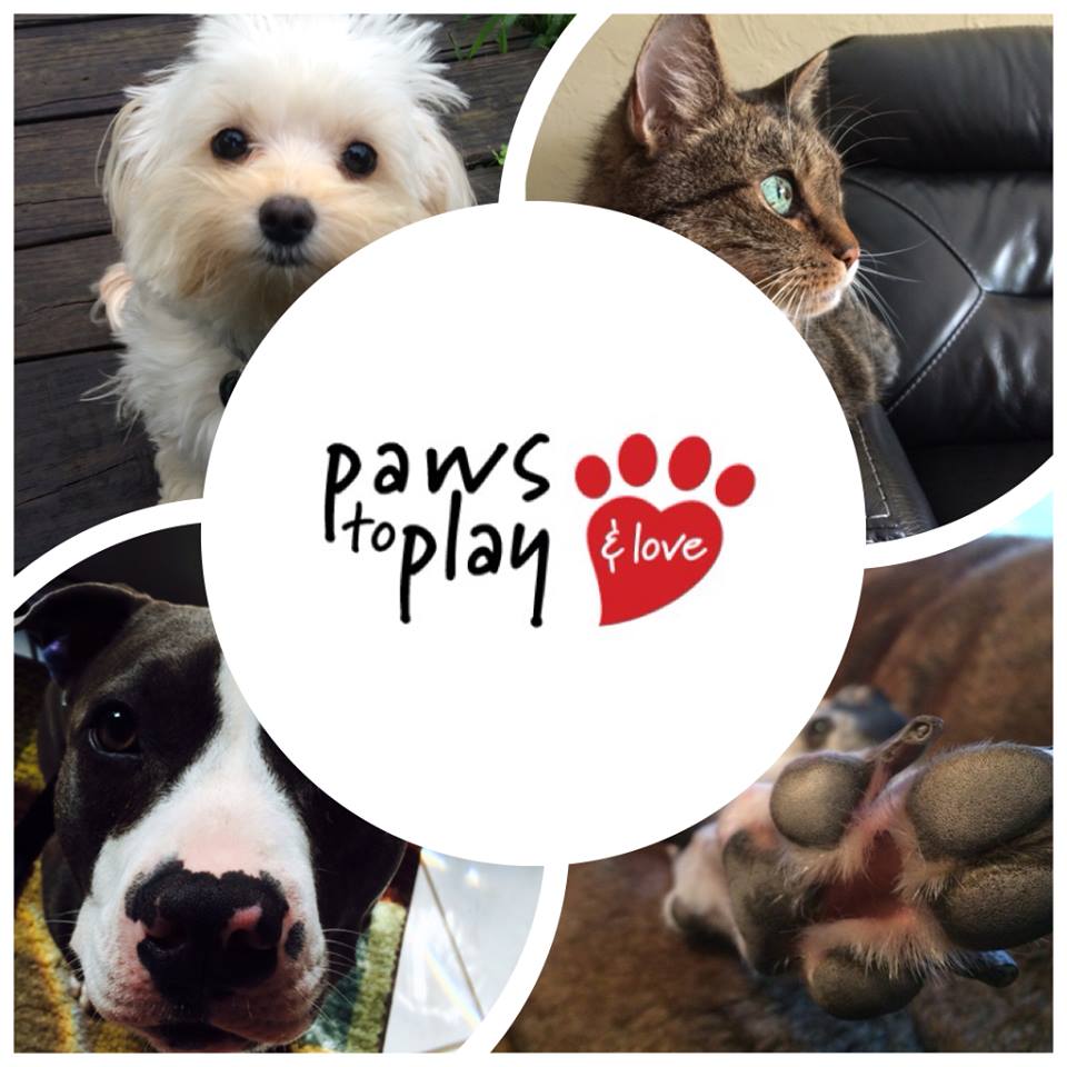 Paws To Play, Inc.