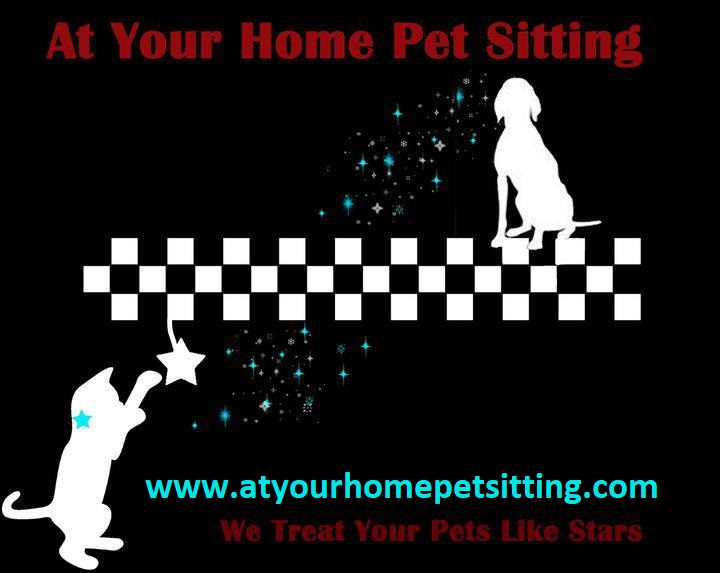 At Your Home Pet Sitting