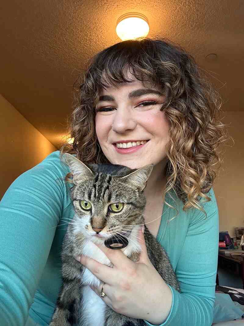 The Comforted Kitty Cat Sitting