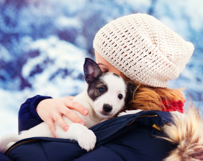 Pet Sitters International advises pet parents to book holiday pet care a.s.a.p.