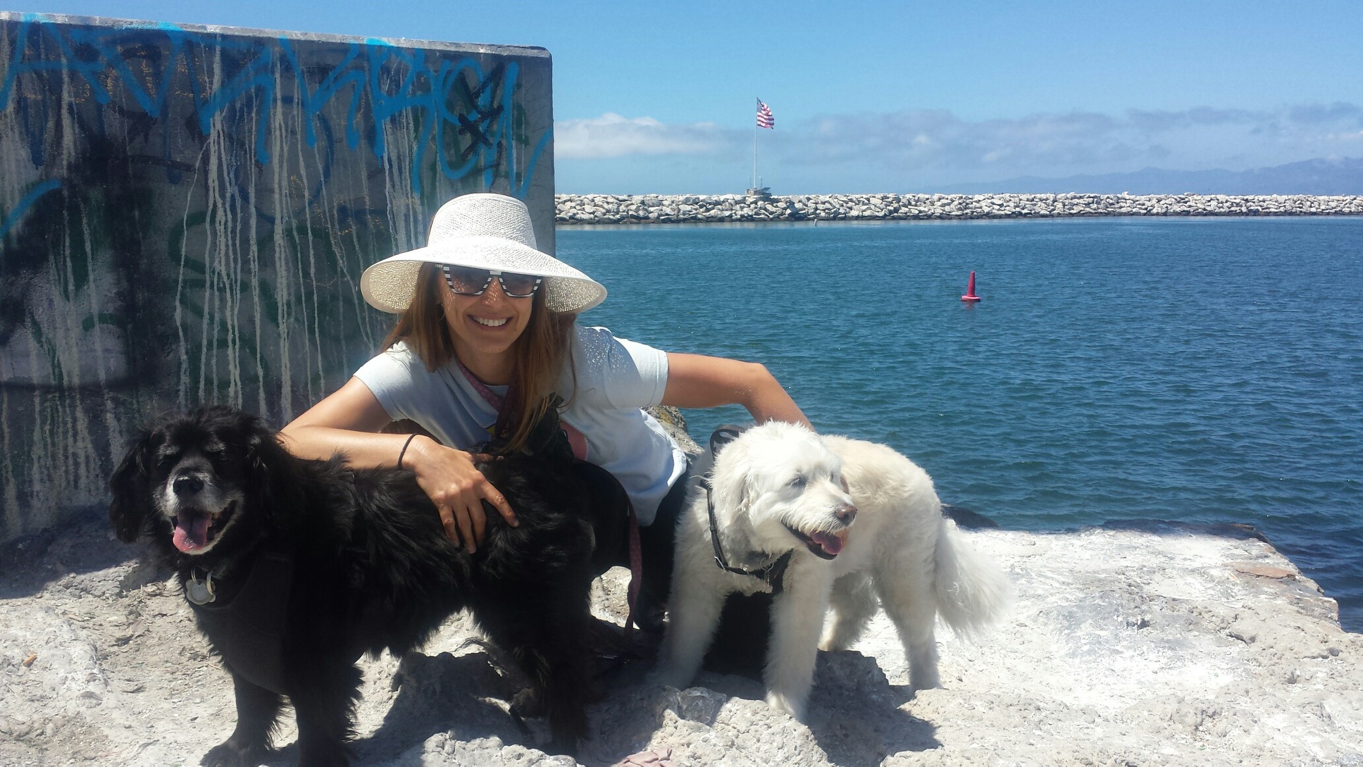 Sweet! Pet Care by Tracy Ann Professional Pet Sitting