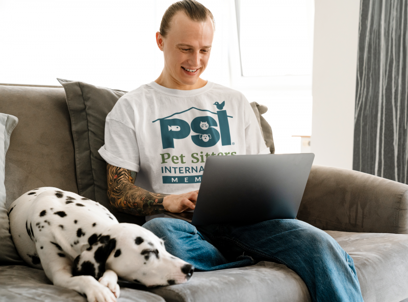 Male pet sitter with long hair sits on couch with a dalmatian dog working on his laptop Pet Sitter Education Month