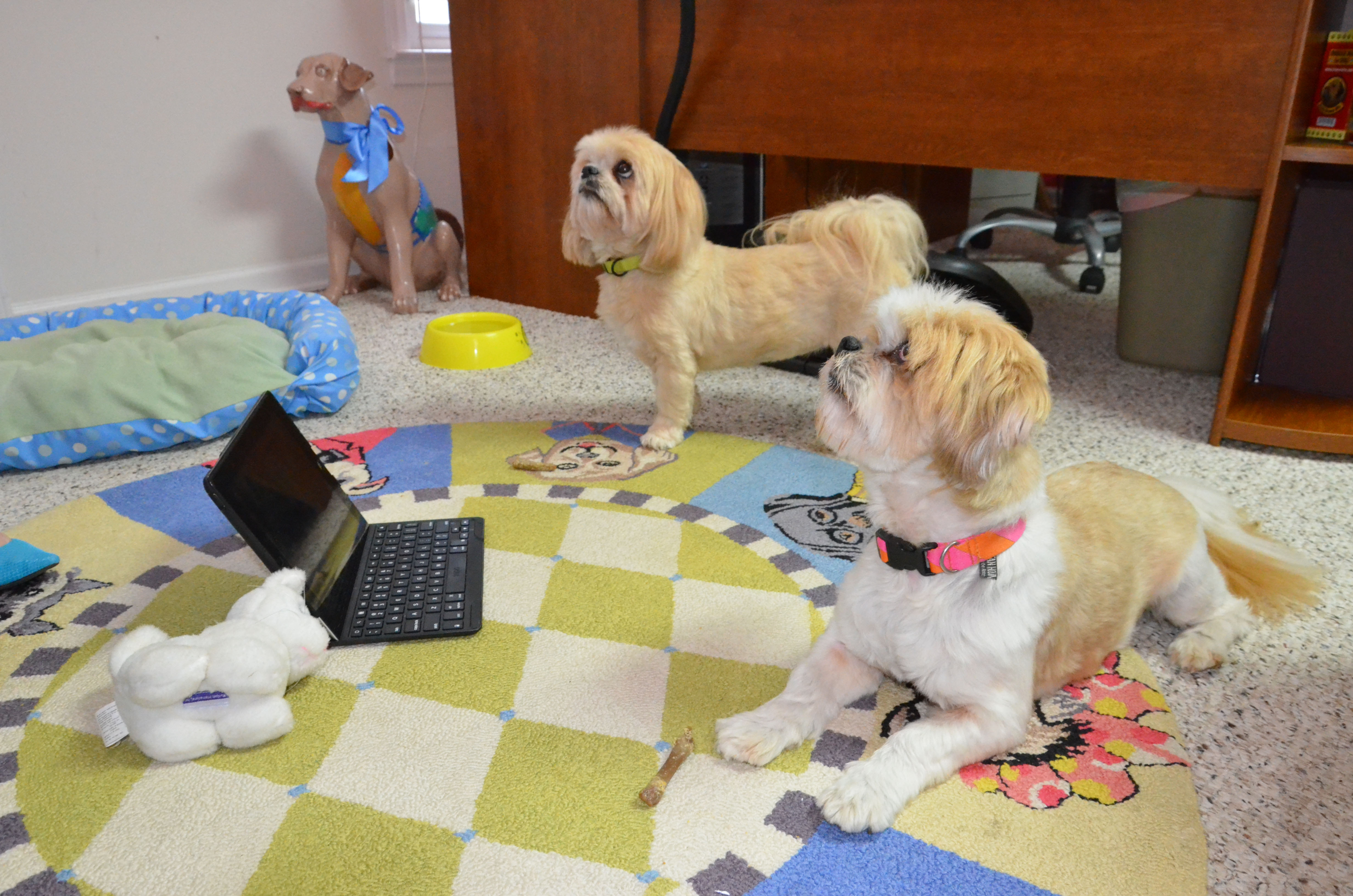 Pet Sitters International Offers Tips for a Successful Take Your Dog To Work Day®