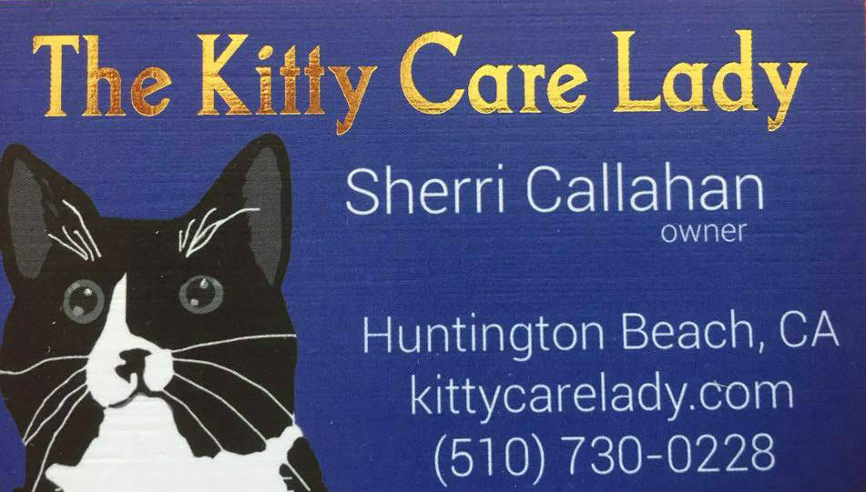 The Kitty Care Lady