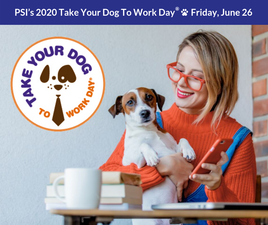 Take Your Dog To Work Day Pet Sitters International