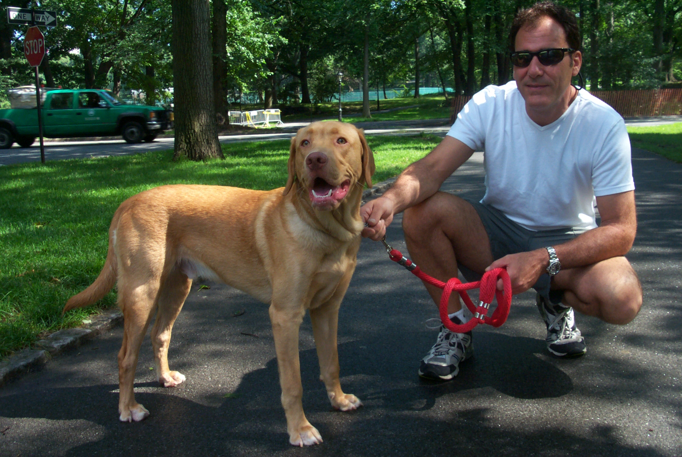 NYC Dog Walkers, LLC.