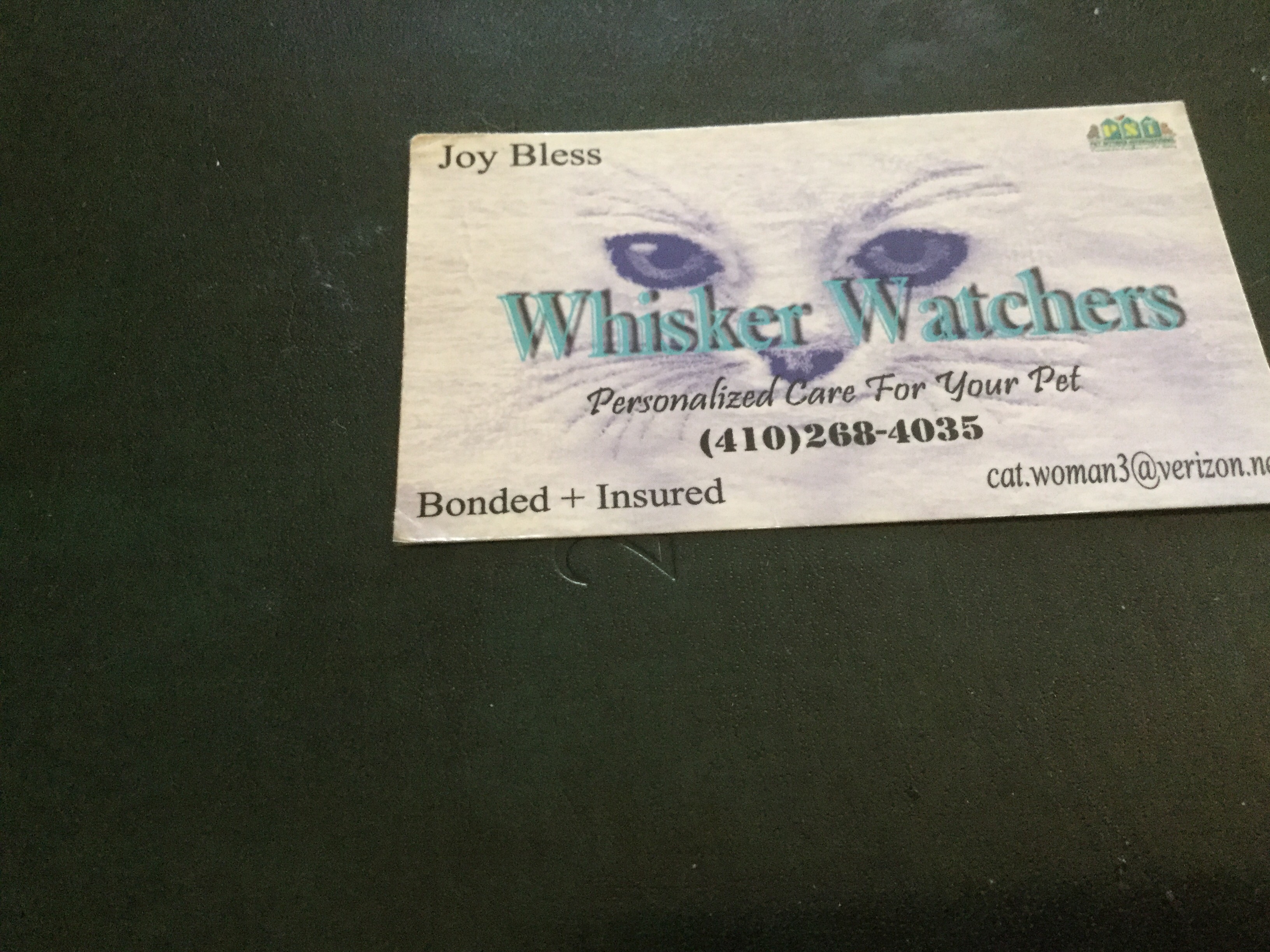 Whisker Watchers