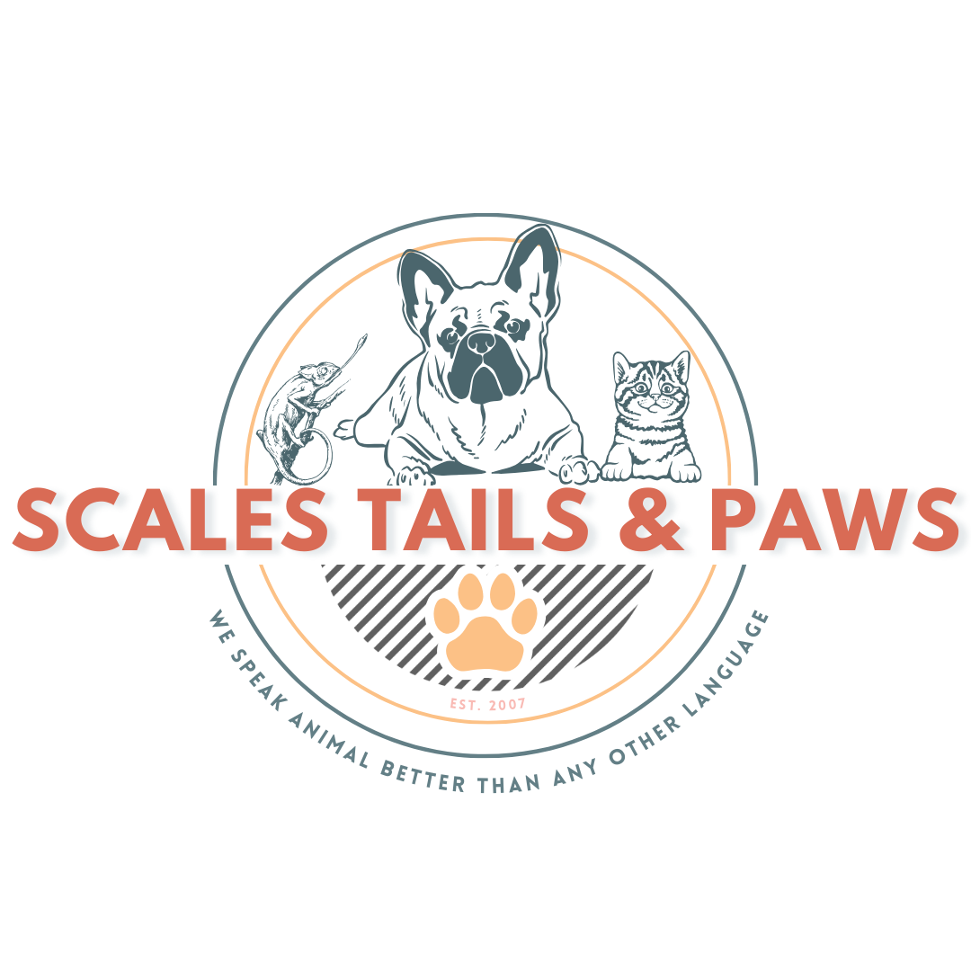 Scales Tails & Paws