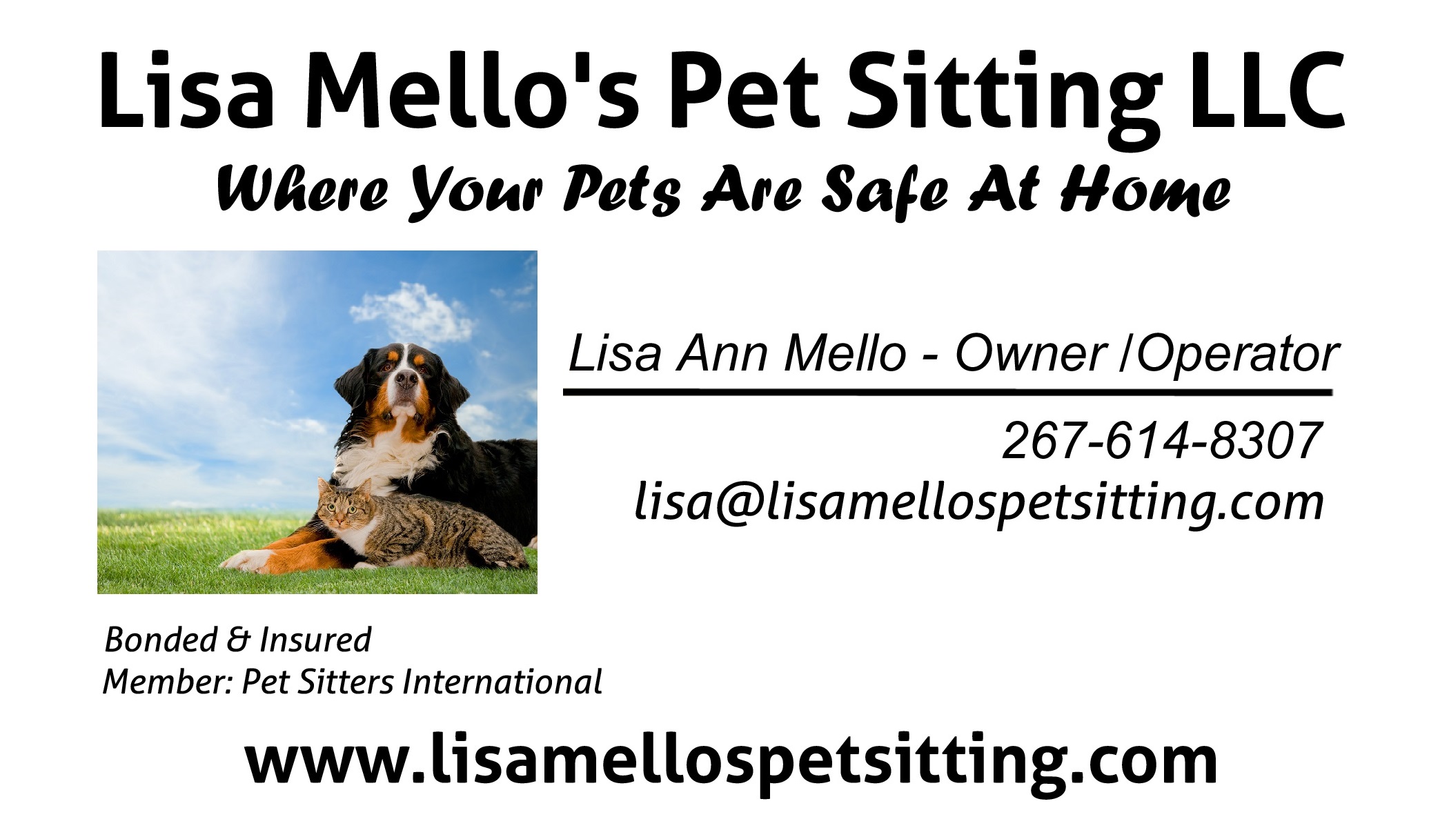 safe at home pet sitting