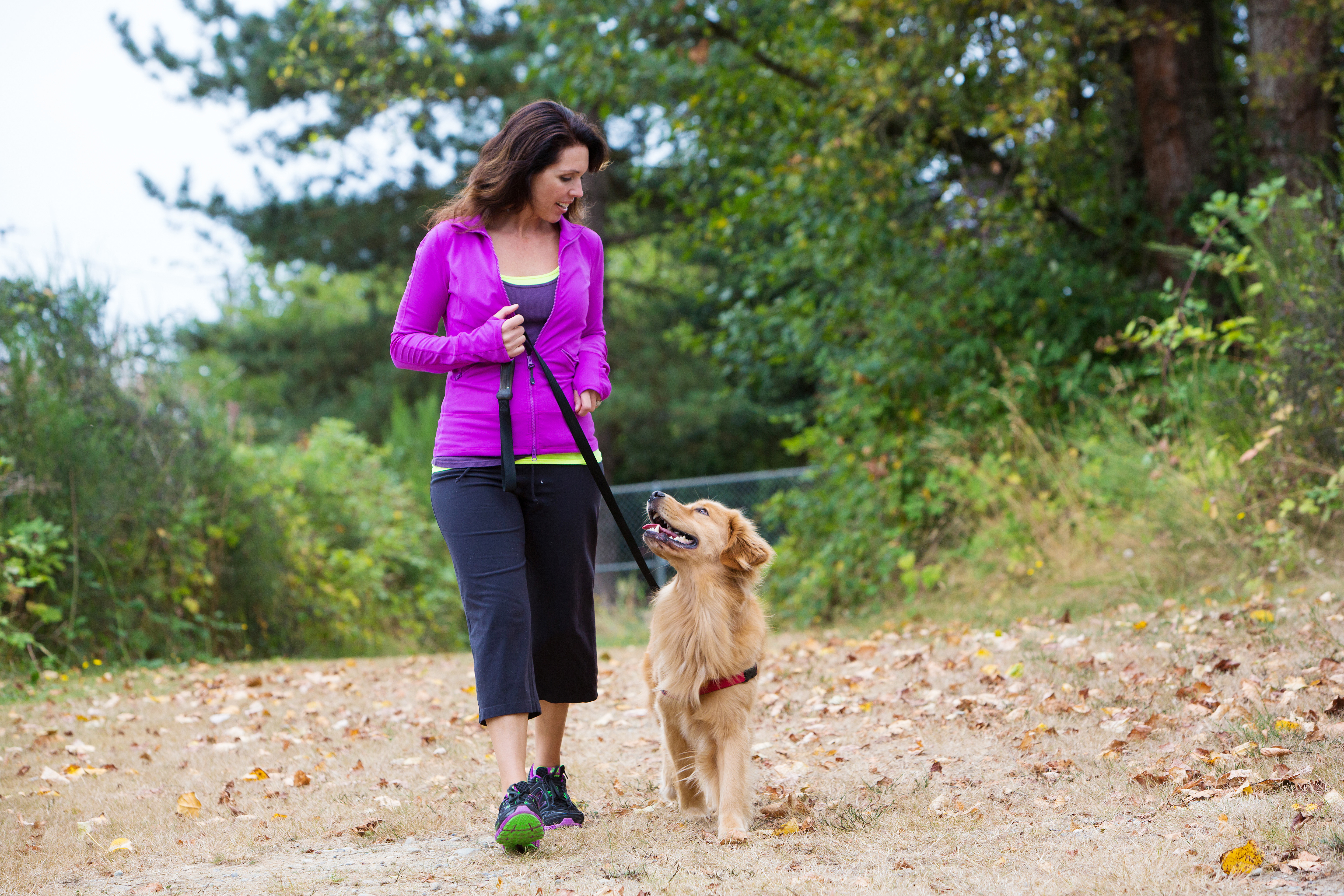 Professional pet-sitting services offered to help combat pet obesity