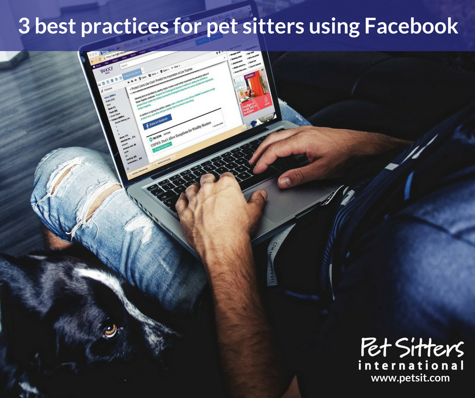 3 best practices for pet sitters using Facebook