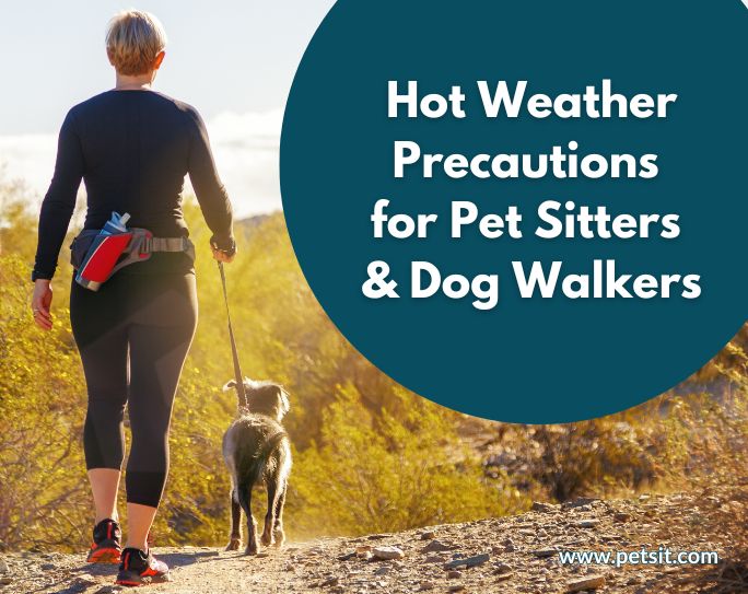 Hot weather precautions for pet sitters and dog walkers