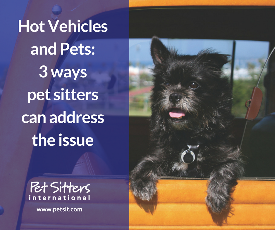 Hot Vehicles and Pets: 3 ways pet sitters can address the issue