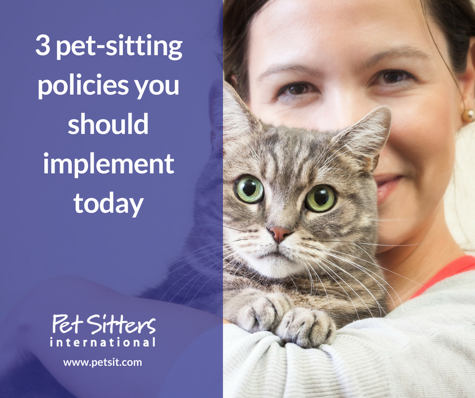 3 pet-sitting policies you should implement today