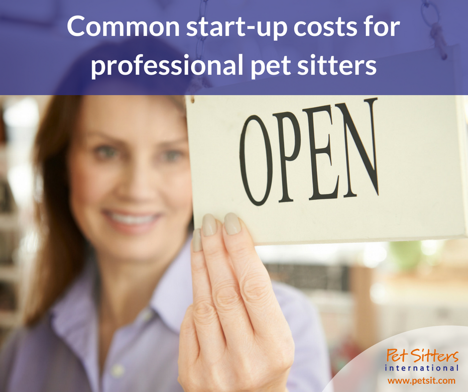 Common start-up costs for professional pet sitters