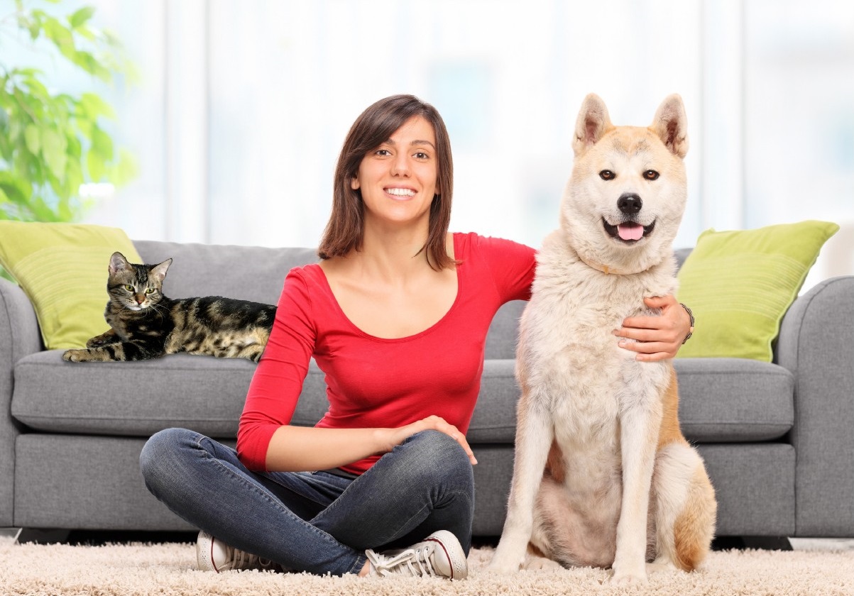 Professional pet sitters make more than the average Canadian worker, new survey finds