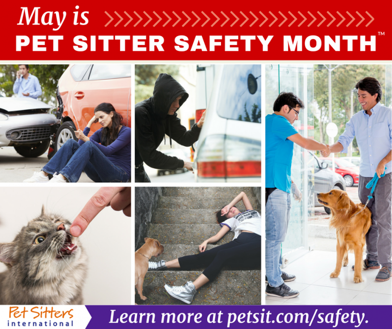 May marks the 2nd annual Pet Sitter Safety Month