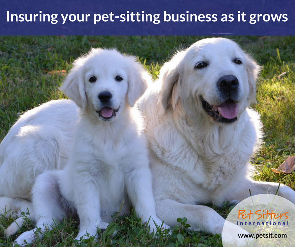 Insuring your pet-sitting business as it grows