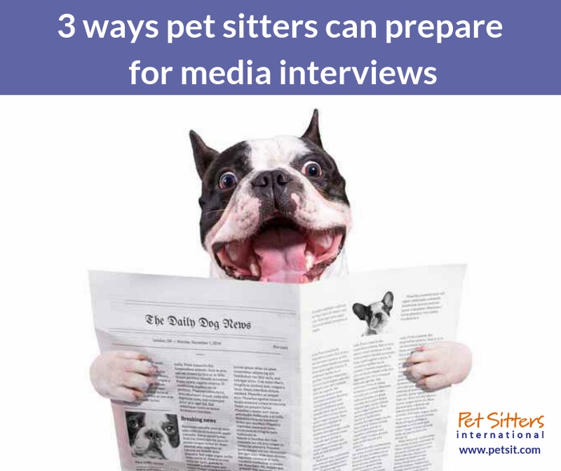 3 ways pet sitters can prepare for media interviews