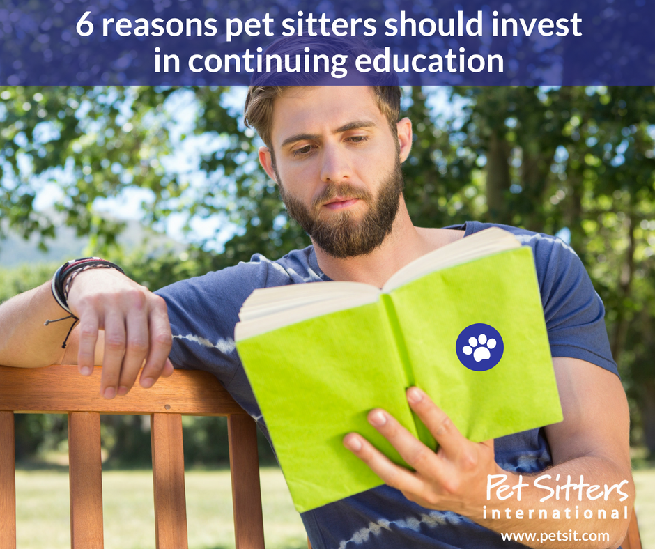 6 reasons pet sitters should invest in continuing education