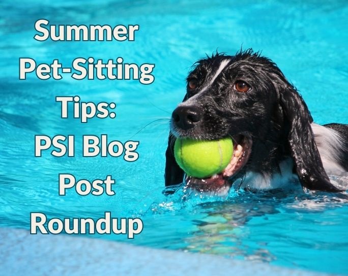 Summer pet-sitting tips: Blog post roundup