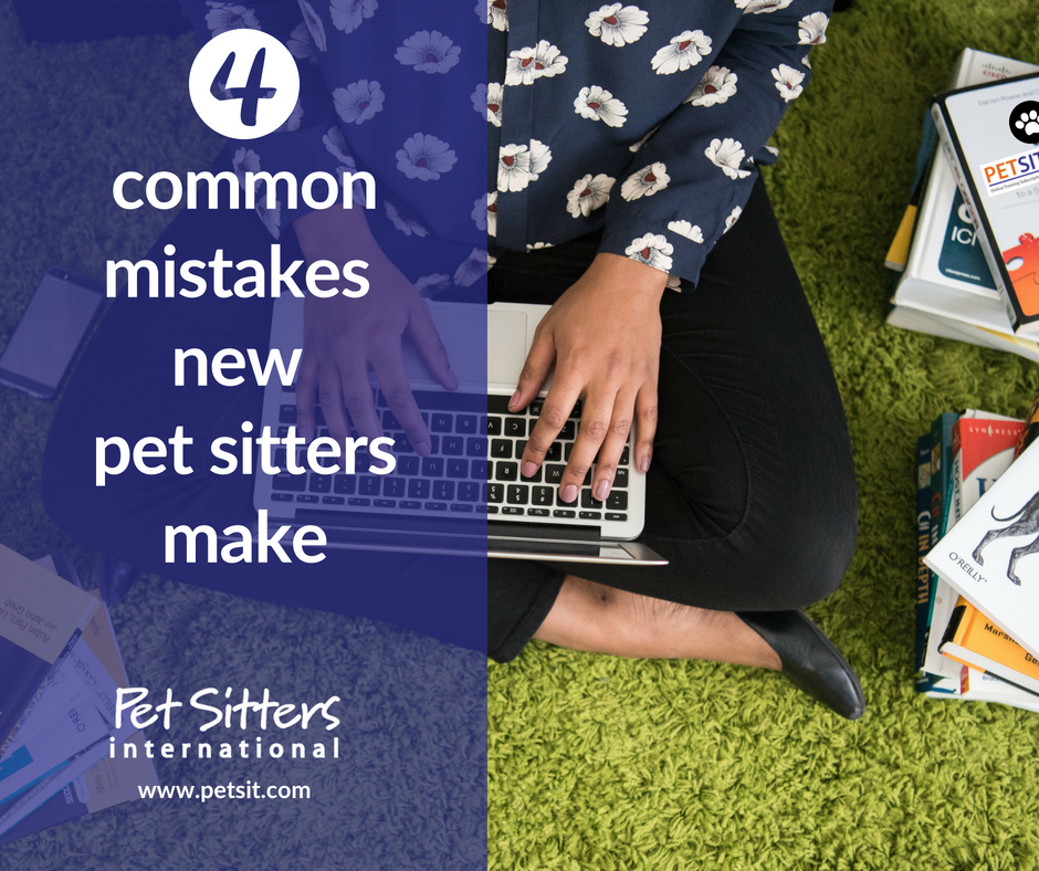 4 common mistakes new pet sitters make