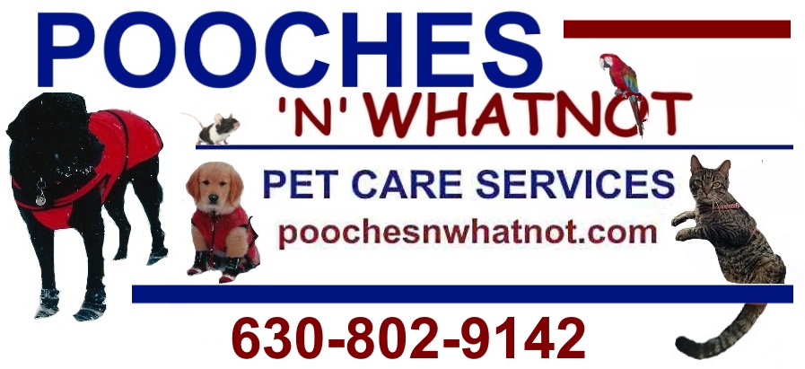 Pooches 'n' Whatnot