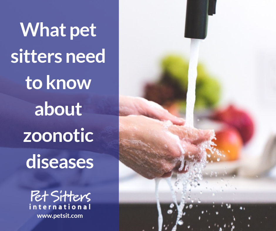 What pet sitters need to know about zoonotic diseases