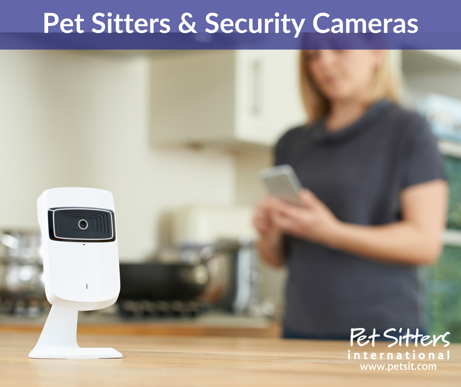 Pet Sitters & Security Cameras