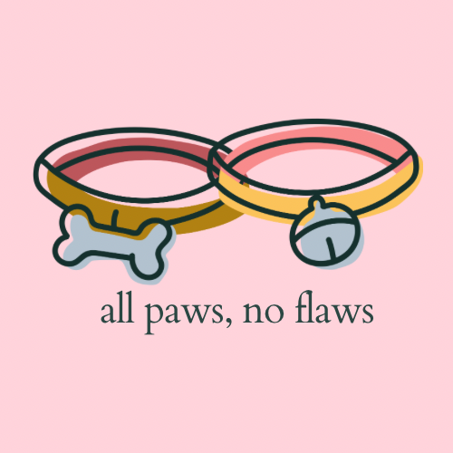 All Paws, No Flaws LLC