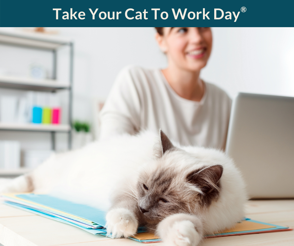 Take Your Dog To Work Day Pet Sitters International