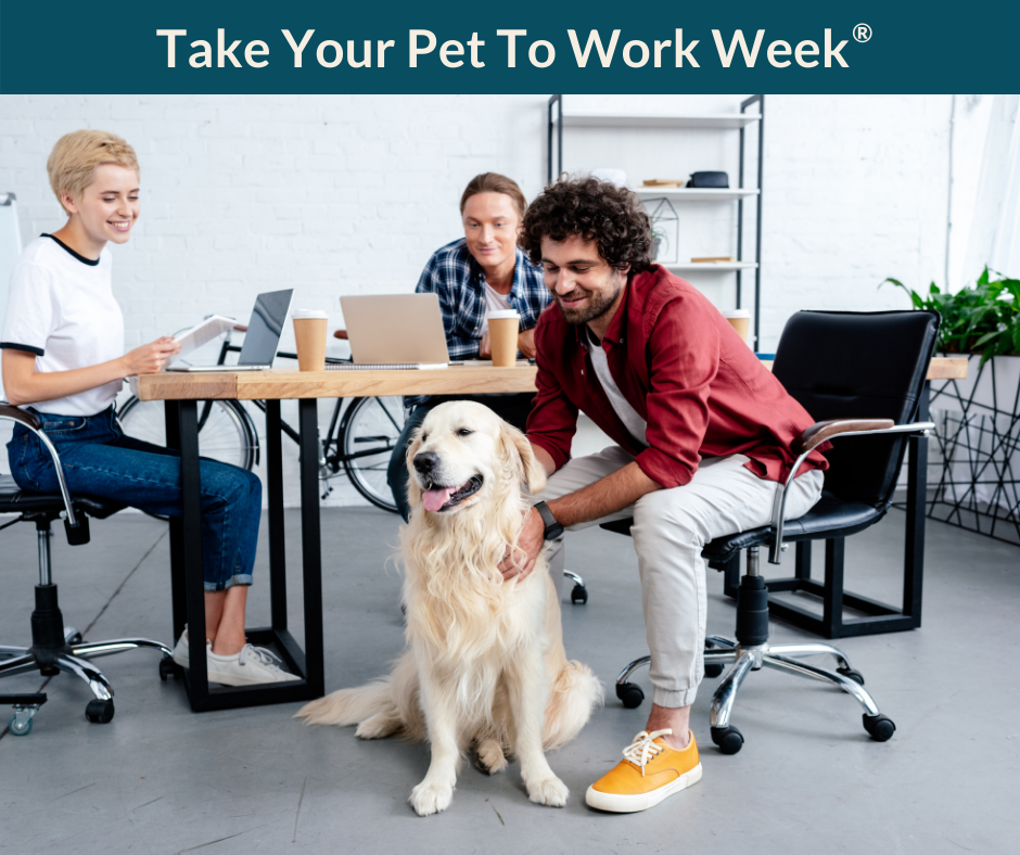 Take Your Dog To Work Day Pet Sitters International