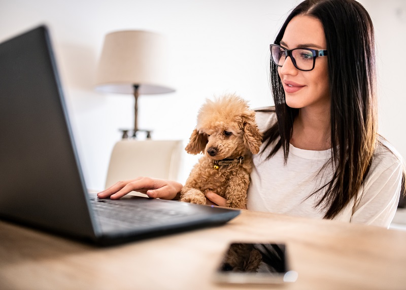 PSI’s Pet-Sitter Education Month™ highlights importance of continuing education this September