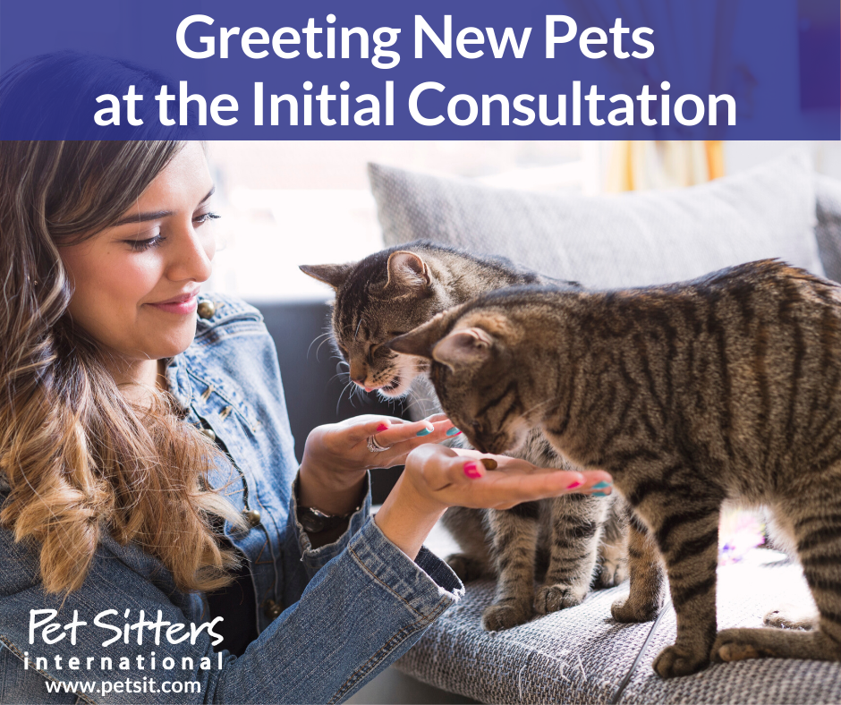 Greeting New Pets at the Initial Consultation