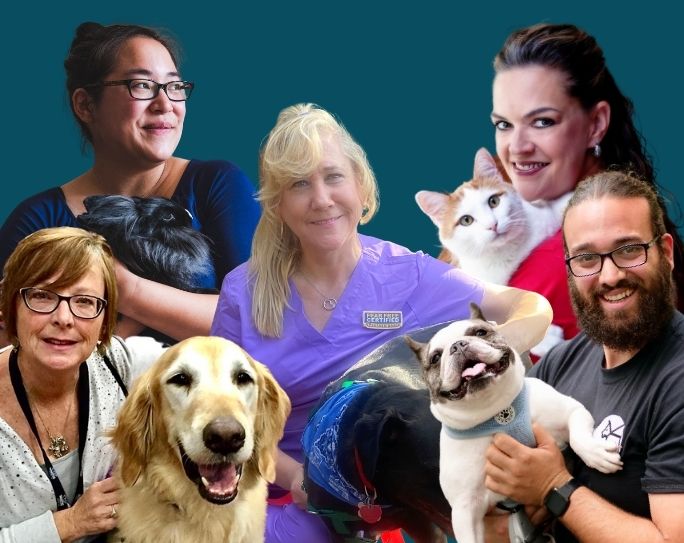 Pet Sitters International announces finalists for 2021 Pet Sitter of the Year™ Award