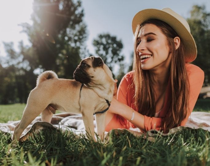 3 Tips to Help Pet Sitters & Dog Walkers Finish 2020 Strong