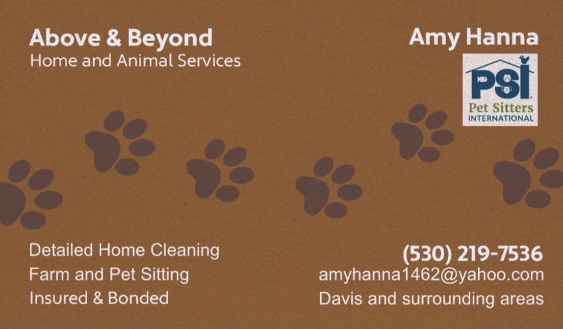 Above & Beyond Home & Animal Services