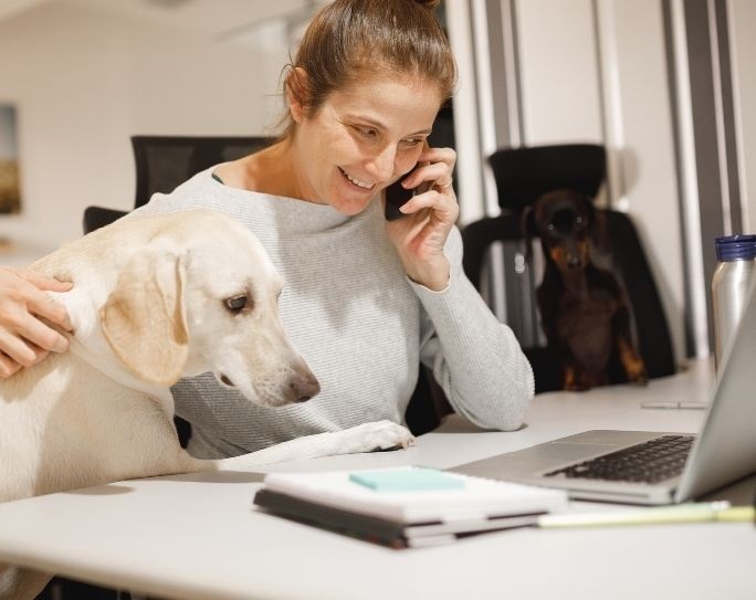 Setting social-media goals for your pet-sitting business