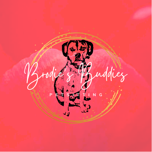 Brodies Buddies