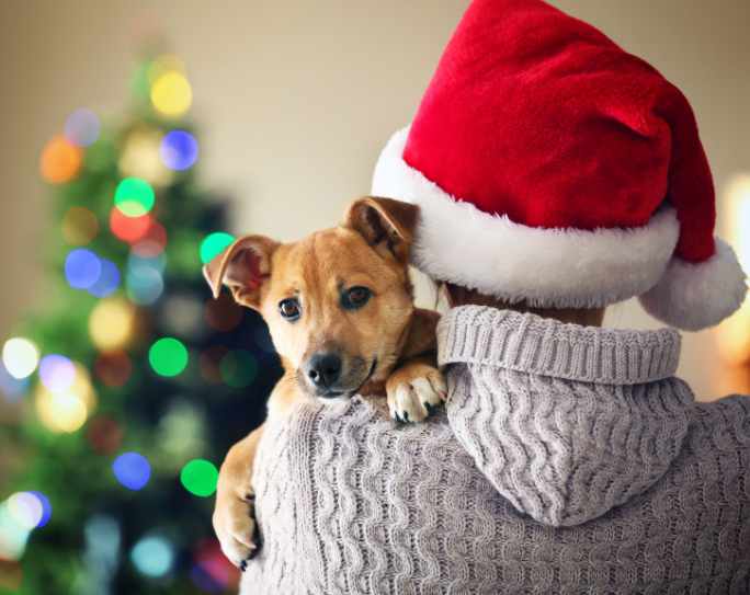 Pet Sitters International releases new survey data, consumer tips ahead of busy holiday season