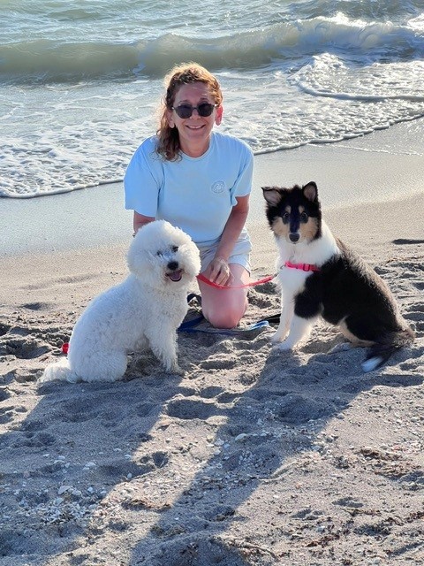 Niftee Pet Services