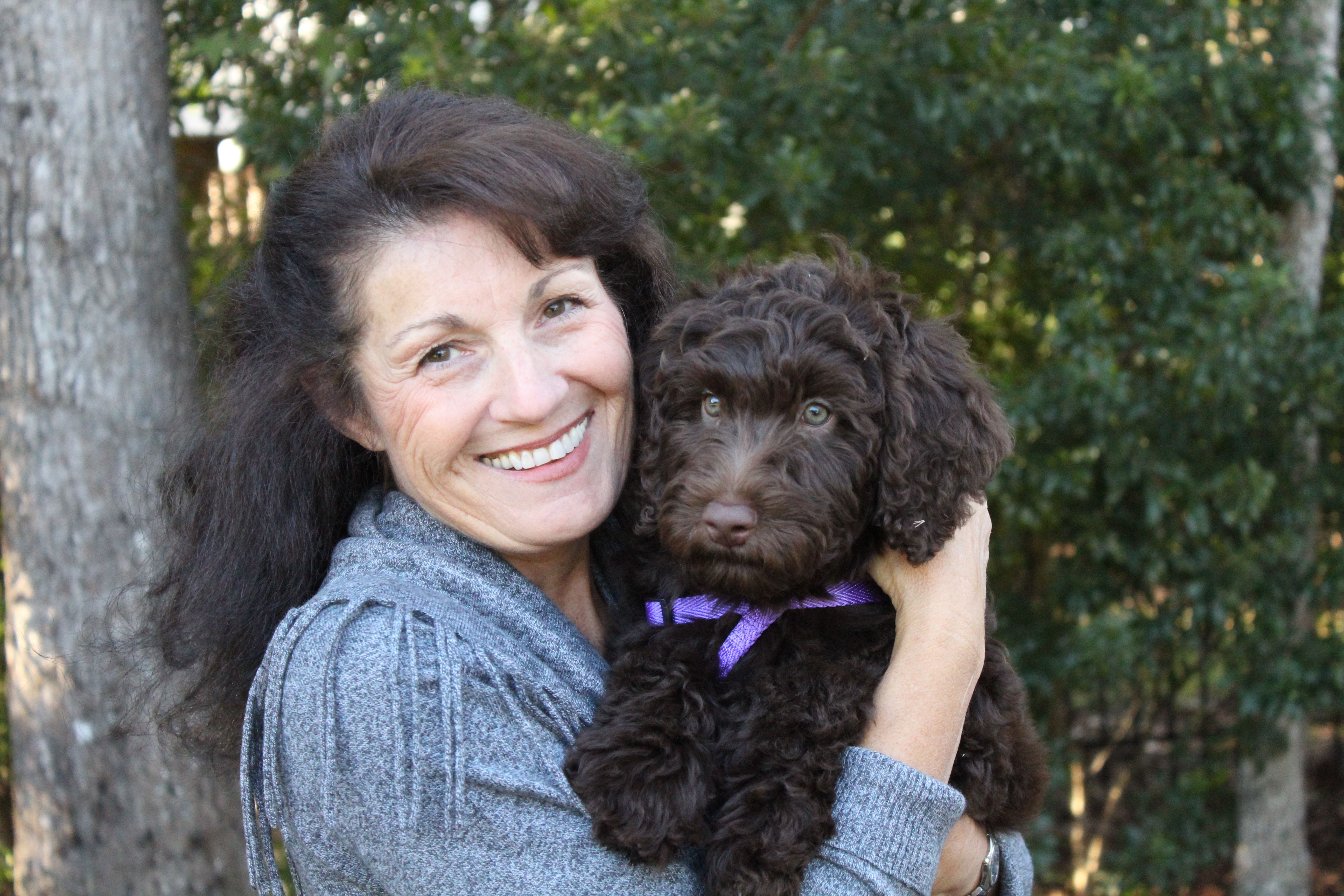 Milo Country Pet Care