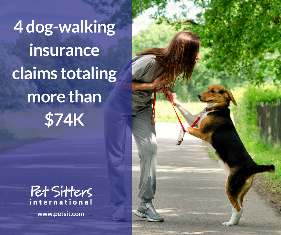 Dog Walker Insurance | Pet Sitters 