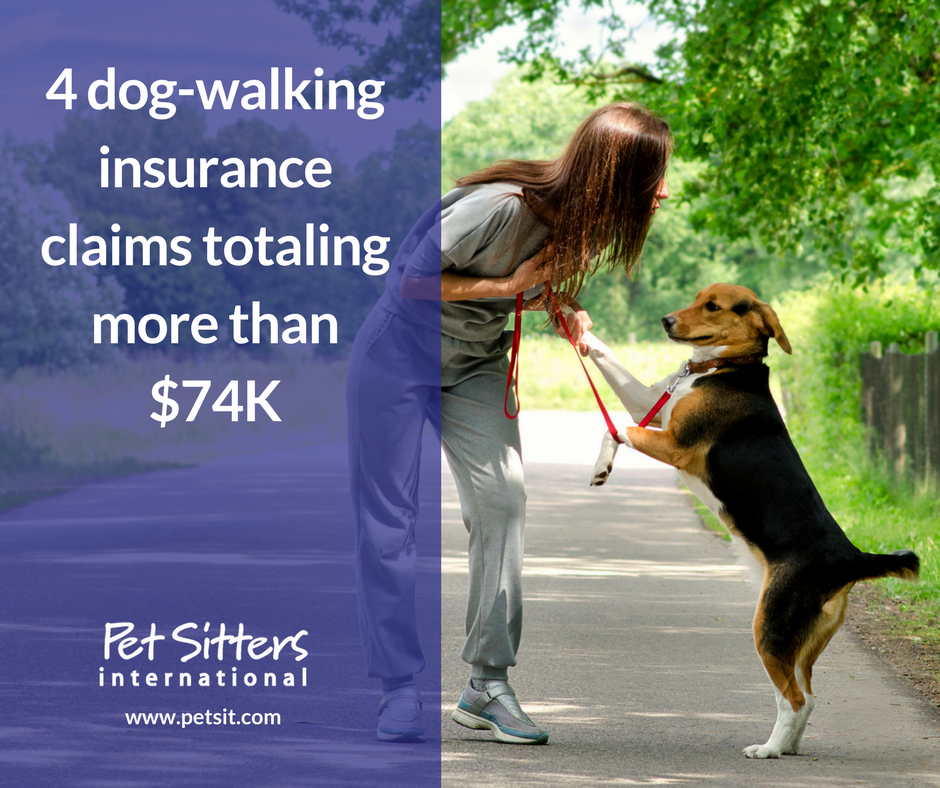 4 dog-walking insurance claims totaling more than $74K