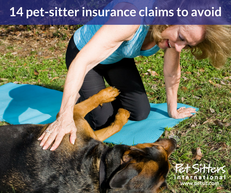 14 pet-sitter insurance claims to avoid