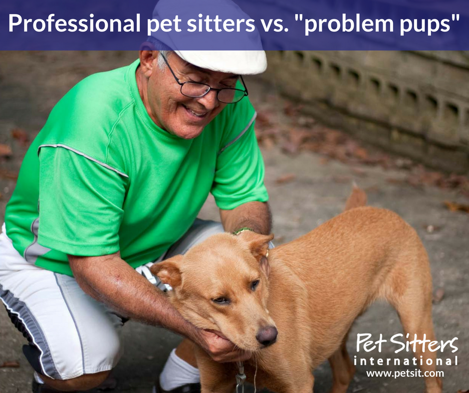 Professional pet sitters vs. "problem pups"