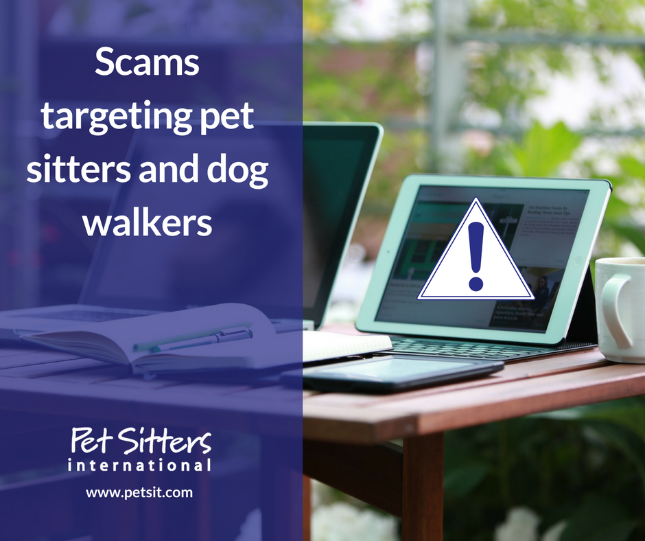 Pet sitters beware: Email scams