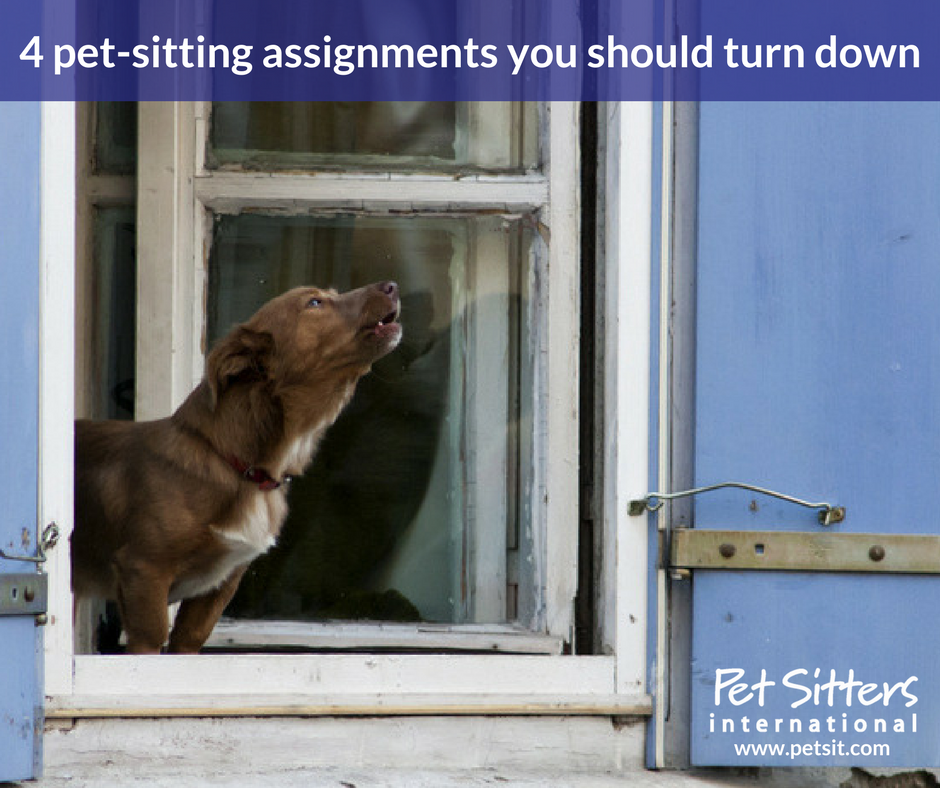 4 pet-sitting assignments you should turn down