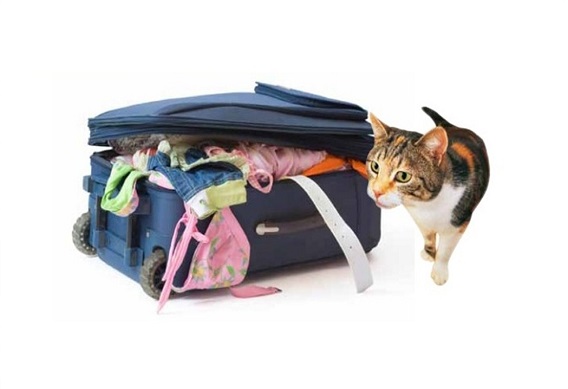 For Traveling Pet Owners, Pet Sitters International Simplifies the Search for Professional Pet Care