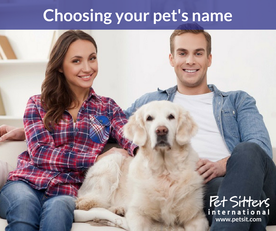 Choosing your pet's name